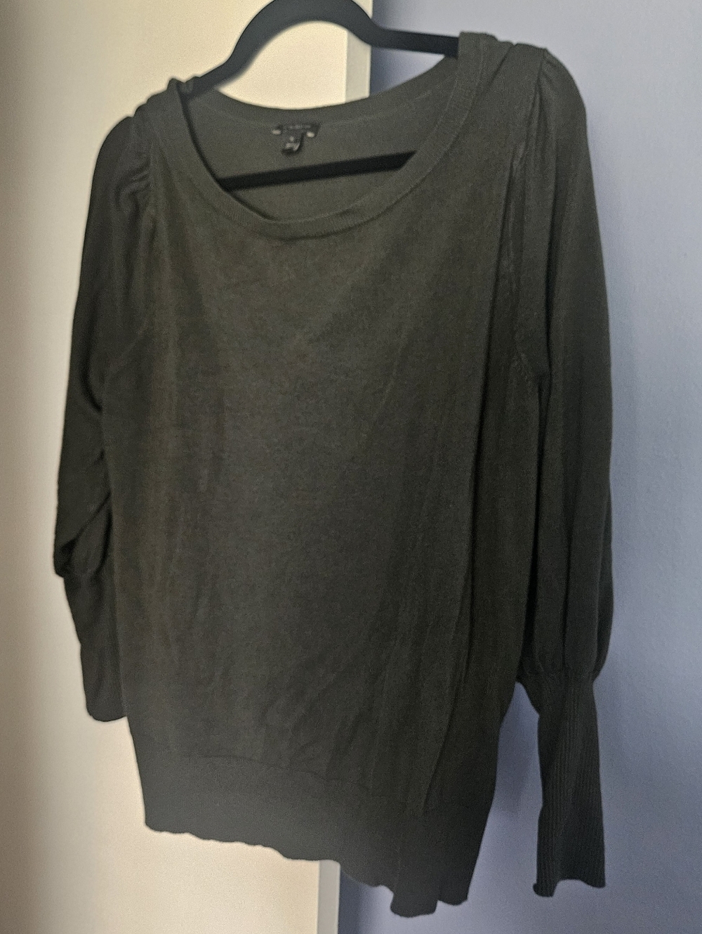 Ann Taylor Factory Women's Dark Green Lightweight Long-Sleeve Sweater